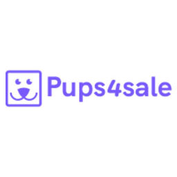 Adorable Toy Moodle Puppies For Sale!!